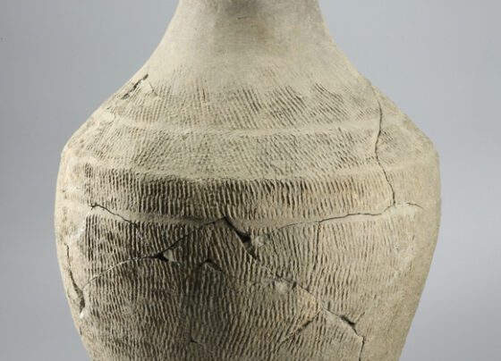 Cultural relics from Western Zhou Dynasty found in NW China’s Shaanxi