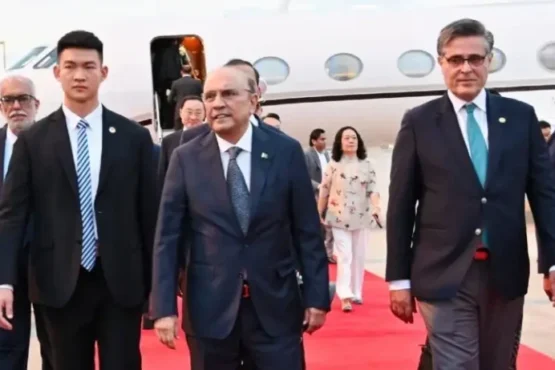 总统扎尔达里对中国进行正式访问