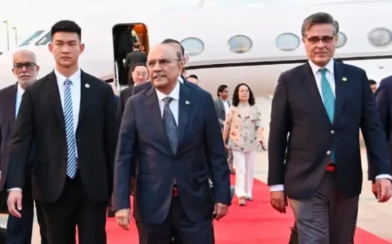 总统扎尔达里对中国进行正式访问