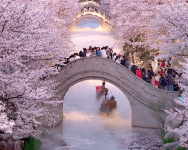 春天促进了中国文化和旅游业的发展