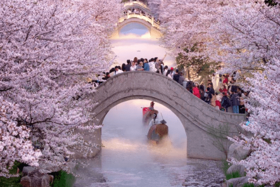 春天促进了中国文化和旅游业的发展