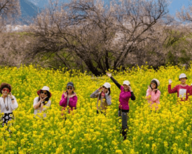 北京4月8日电（新华社/APP）：林芝市桃花盛开，吸引大批游客前来观赏这场盛大的花月盛会。 近年来，林芝市积极发展桃花经济，通过提升文化旅游体验、完善住宿和交通设施，为季节性消费和经济活动注入了持续动力。