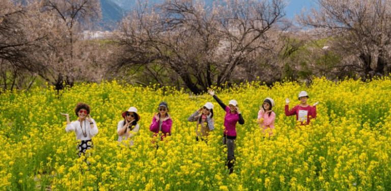 西藏桃花盛开春季经济繁荣