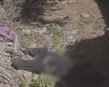 ISPR：在开伯尔联合情报行动中22名恐怖分子被击毙