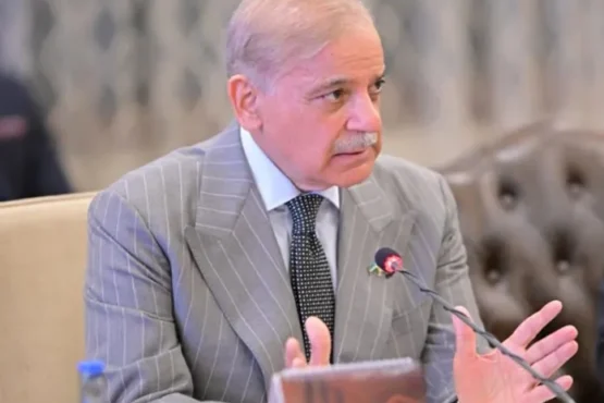 总理听取了有关预防疾病的特别措施的简报