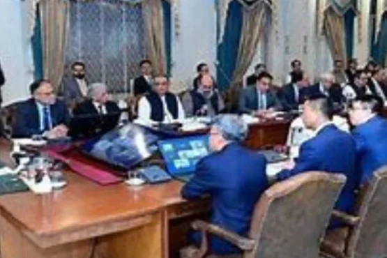 巴基斯坦总理夏巴兹·谢里夫表示，巴基斯坦将继续为地区和平做出努力