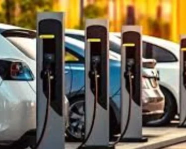 政府新汽车政策，汽车价格大幅下降