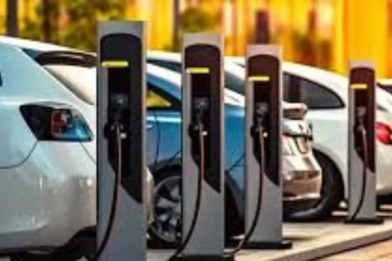 政府新汽车政策，汽车价格大幅下降