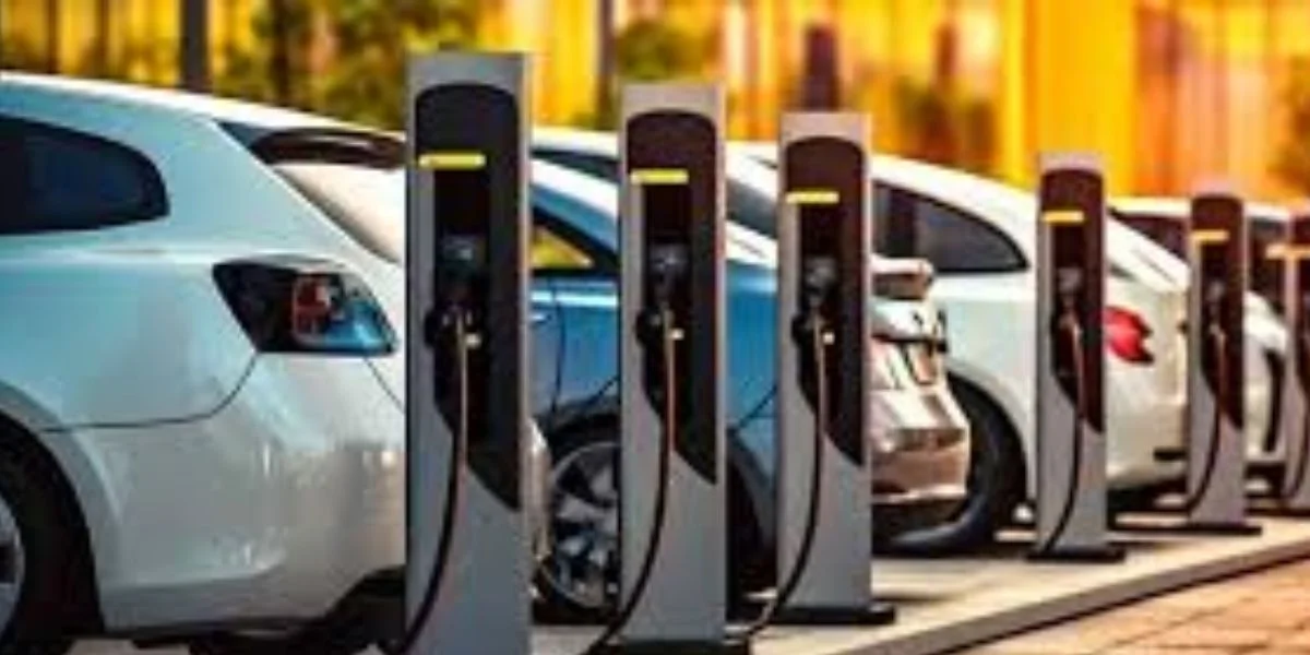 政府新汽车政策，汽车价格大幅下降