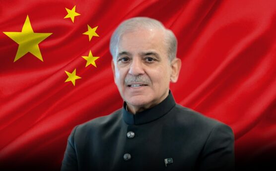 PM Shehbaz’s diplomatic drive to foster Middle East peace: Chinese Expert
