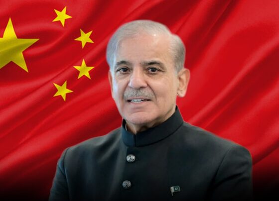 PM Shehbaz’s diplomatic drive to foster Middle East peace: Chinese Expert