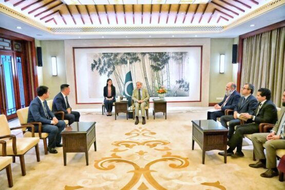 PM meets senior Chinese corporate executives