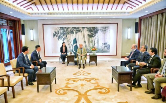 PM meets senior Chinese corporate executives