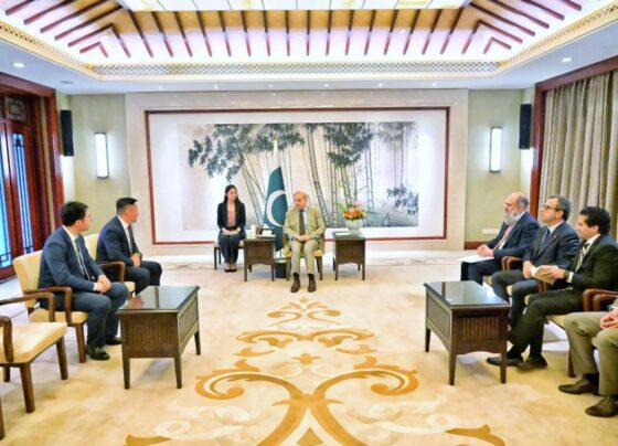 PM meets senior Chinese corporate executives