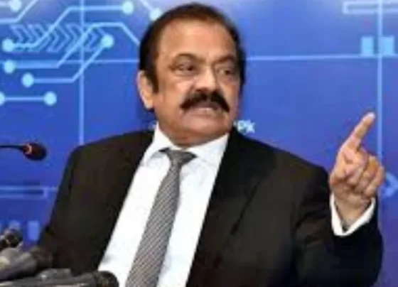 Petroleum prices in are expected to decline further”: Rana Sanaullah
