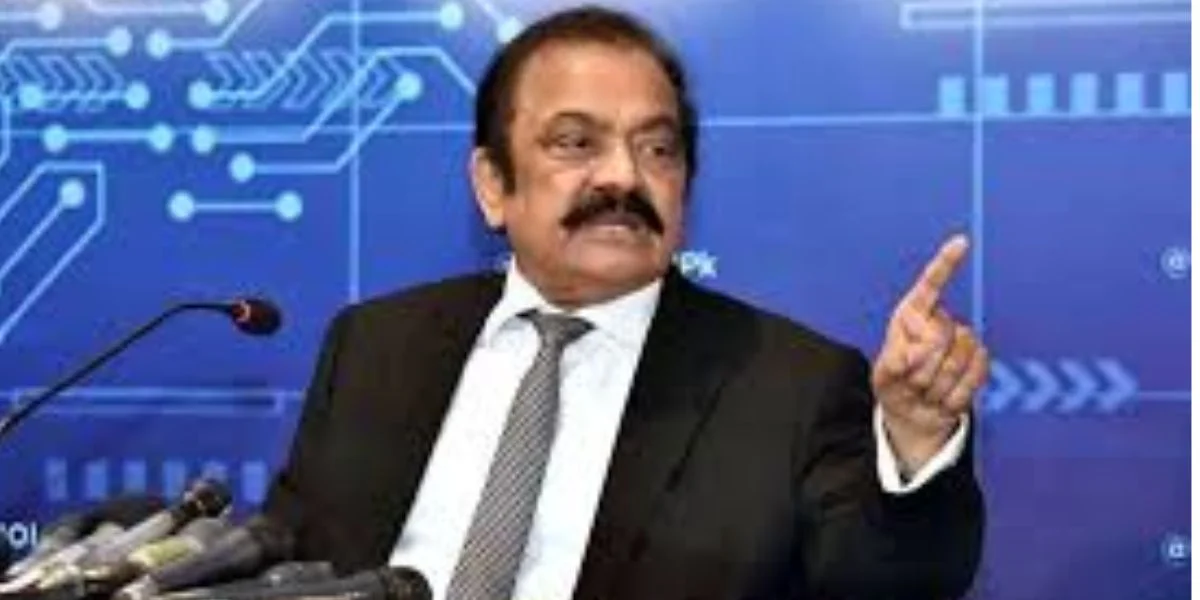 Rana Sanaullah：预计石油价格将进一步下跌