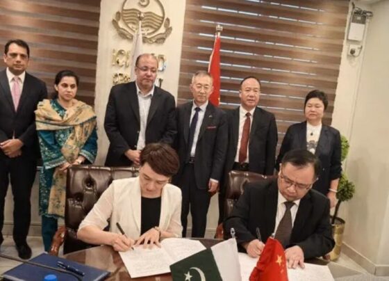 Chinese, Pakistani cities to deepen pragmatic cooperation