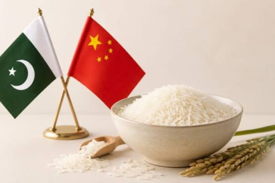 北京，7月29日（APP）：在广东省广州市举行的中巴粮食B2B对接会汇聚了15家巴基斯坦主要大米出口商和中国农业企业，与会企业签署了订单意向书并达成了初步合作共识。 此次活动由巴基斯坦驻广州总领事馆和广州国际合作中心（GICC）联合主办。据中国新闻网（CEN）周三报道，巴基斯坦大米出口商协会（REAP）派出17人代表团，代表15家主要大米出口商出席了此次对接会。与会企业代表来自广东省，涵盖农产品加工、粮食和油品贸易、农业技术、农业机械制造、跨境电商和供应链服务等领域。 对接会上，巴基斯坦和中国企业就粮食采购价格、质量检验标准、跨境物流、结算安排、长期供应合作和自有品牌加工等议题进行了磋商。 多家广东省企业和巴基斯坦代表团成员在会上签署了采购订单意向书，标志着双方贸易合作取得了实质性进展。此次会议也帮助双方建立了直接沟通渠道，为未来的合作奠定了基础。巴基斯坦代表团代表介绍了该国的粮食生产能力、出口结构和稻米供应能力，而成员企业则向潜在的中国合作伙伴展示了各自的产品类别、供应量和物流解决方案。 据广东国际合作中心（GICC）称，此次活动为中巴企业提供了一个平台，以探讨粮食领域的合作机遇，并加强巴基斯坦农产品出口商与广东省农业及供应链产业之间的贸易联系。