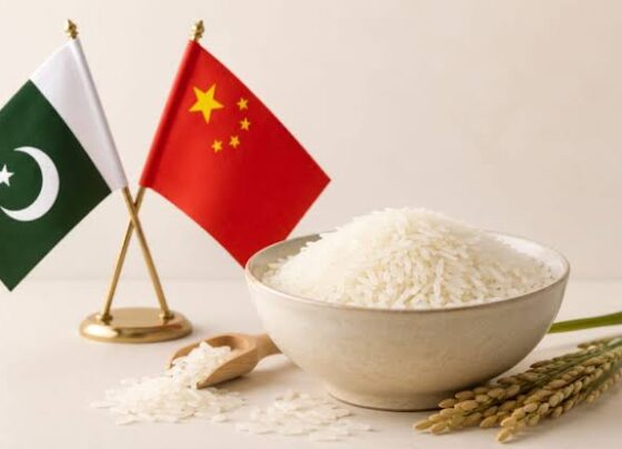 北京，7月29日（APP）：在广东省广州市举行的中巴粮食B2B对接会汇聚了15家巴基斯坦主要大米出口商和中国农业企业，与会企业签署了订单意向书并达成了初步合作共识。 此次活动由巴基斯坦驻广州总领事馆和广州国际合作中心（GICC）联合主办。据中国新闻网（CEN）周三报道，巴基斯坦大米出口商协会（REAP）派出17人代表团，代表15家主要大米出口商出席了此次对接会。与会企业代表来自广东省，涵盖农产品加工、粮食和油品贸易、农业技术、农业机械制造、跨境电商和供应链服务等领域。 对接会上，巴基斯坦和中国企业就粮食采购价格、质量检验标准、跨境物流、结算安排、长期供应合作和自有品牌加工等议题进行了磋商。 多家广东省企业和巴基斯坦代表团成员在会上签署了采购订单意向书，标志着双方贸易合作取得了实质性进展。此次会议也帮助双方建立了直接沟通渠道，为未来的合作奠定了基础。巴基斯坦代表团代表介绍了该国的粮食生产能力、出口结构和稻米供应能力，而成员企业则向潜在的中国合作伙伴展示了各自的产品类别、供应量和物流解决方案。 据广东国际合作中心（GICC）称，此次活动为中巴企业提供了一个平台，以探讨粮食领域的合作机遇，并加强巴基斯坦农产品出口商与广东省农业及供应链产业之间的贸易联系。