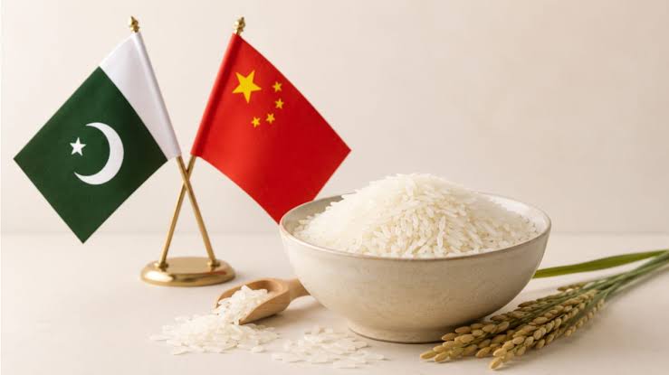 巴基斯坦大米出口商在B2B对接会上与中国企业达成采购意向