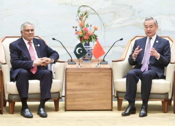 DPM, Chinese FM review relations
