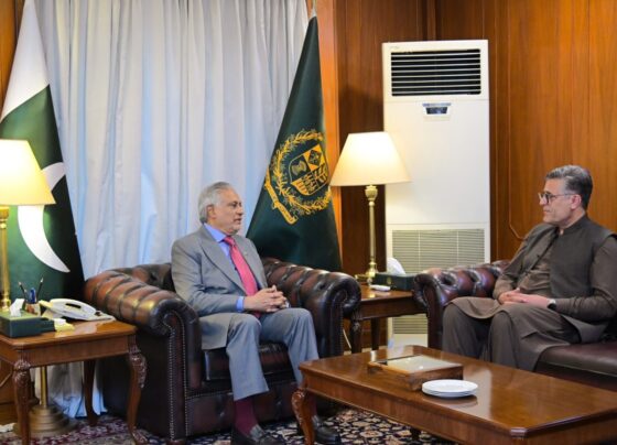 DPM/FM Dar directs for further advancing Pakistan-China strategic partnership