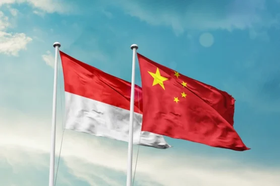 7月23日，印尼政府成功发行70亿元人民币（约合10.3亿美元）的熊猫债券，标志着印尼首次进入中国境内债券市场。 此次发行共获得约170亿元人民币的认购，超额认购2.4倍，反映出中国资本市场投资者的强劲需求。熊猫债券分两期发行：三年期56亿元人民币，五年期14亿元人民币。 印尼财政部长普尔巴亚·尤迪·萨德瓦表示，如果首期发行表现良好，雅加达可能会考虑后续更大规模的发行。 印尼还获得了中国联合评级授予的最高境内信用评级AAA，展望稳定；其国际信用评级维持在穆迪Baa2、标普BBB和惠誉BBB的水平。 此次交易标志着一个里程碑：印尼成为东南亚首个发行熊猫债券的主权国家——今年熊猫债券发行国名单上又添一员，而今年的名单已经异常拥挤。 承销团的组成也体现了中国银行业对这笔交易的重视程度：中国银行担任主承销商和账簿管理人，工商银行、中信证券、中金公司和星展银行担任联席主承销商。印尼还获准在未来两年内发行至多300亿元人民币（约合44.3亿美元）的熊猫债券。 今年熊猫债券发行整体呈现蓬勃发展态势，主权国家在其中占据的份额虽小，但增长迅速。斯洛文尼亚和哈萨克斯坦（分别通过财政部和主权财富基金发行了两次）首次发行熊猫债券，与匈牙利等多次发行国并肩；巴基斯坦于5月完成了首次熊猫债券定价；巴西于6月提交申请，希望成为首个发行熊猫债券的拉丁美洲主权国家。 外国政府债券发行机构名单已有十年历史。在这十年中的大部分时间里，名单增长缓慢，大约每年或每两年才新增一家。然而，从2025年中期开始，增长速度突然加快：新加入的机构和再次发行的机构开始接连涌现。这种速度的骤然变化，以及北京显然将这些新机构的出现视为战略而非偶然，才是值得探究的谜团。