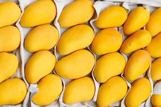 Pakistani mangoes make season debut in Xinjiang via Land Port