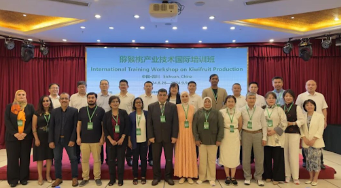 中国举办猕猴桃生产培训研讨会探讨向巴基斯坦提供切实援助
